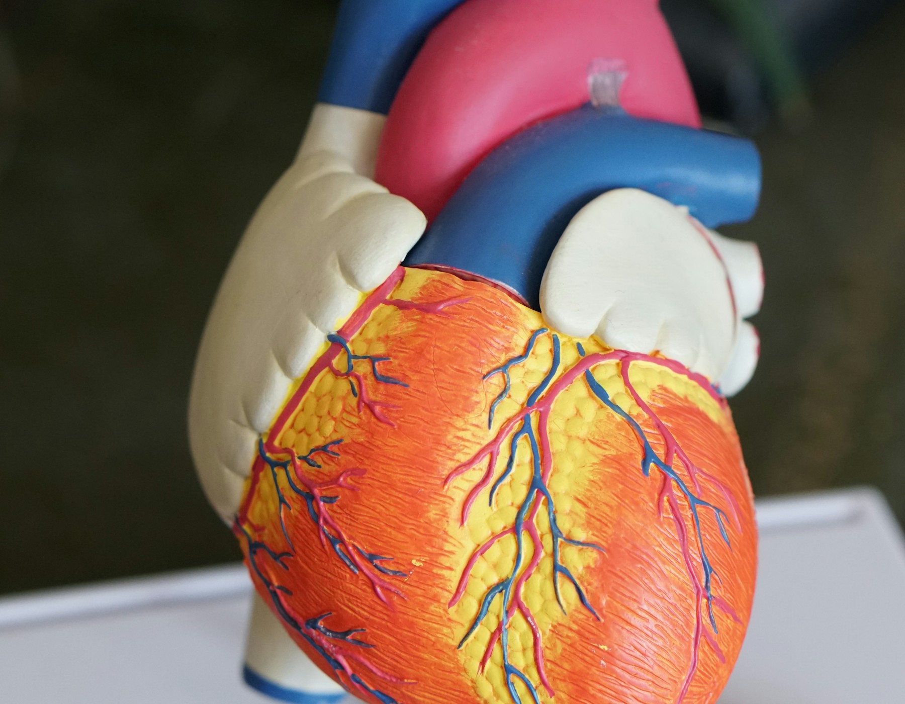 Sample diagnostic training model